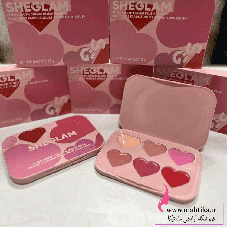 رژپالتی و رژ گونه شش رنگ شیگلم