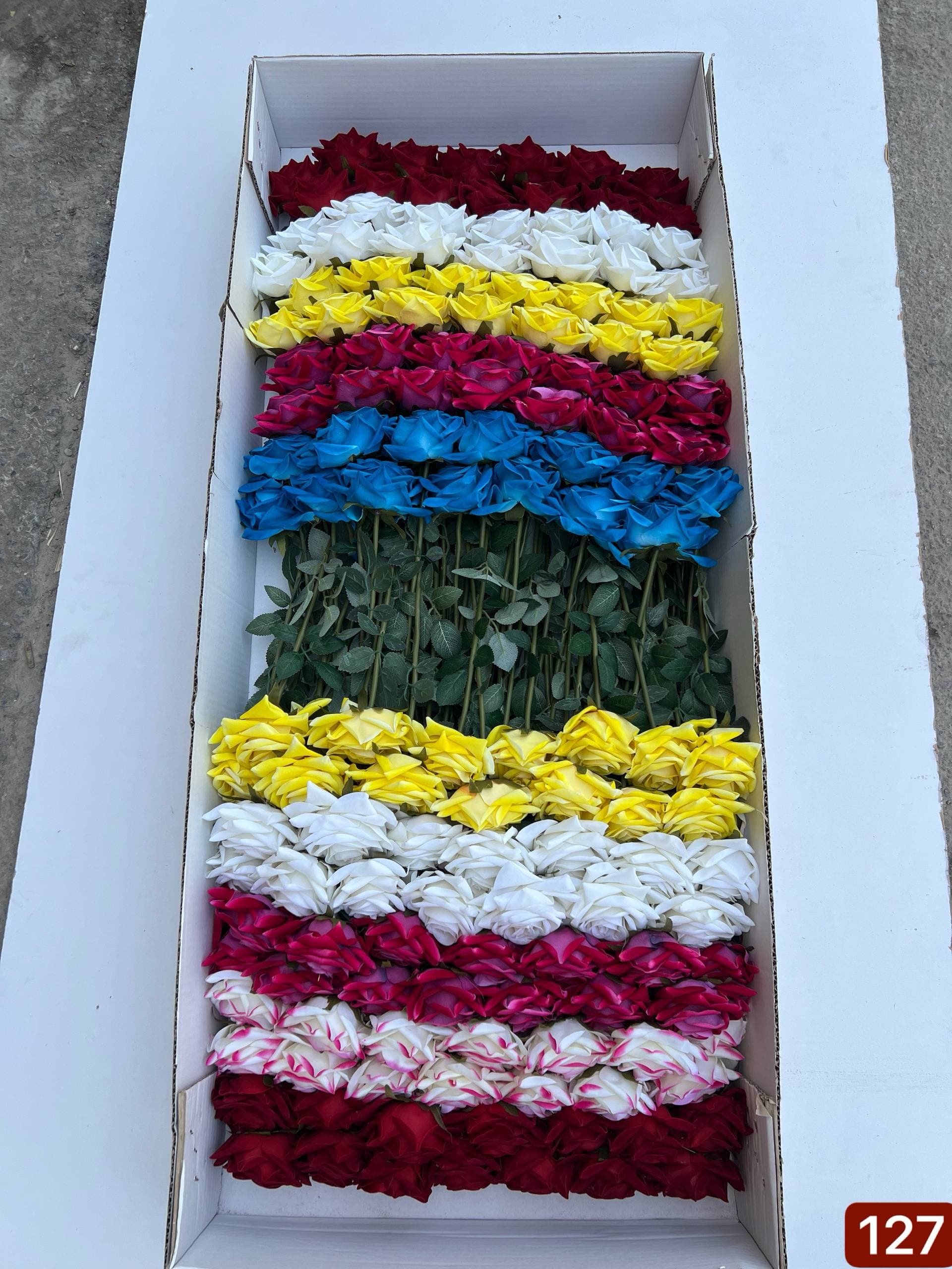 شاخه رز مخمل درشت سایز ۳ (جعبه 140 تایی )