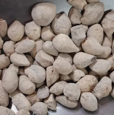 سنگ حجرالیهود(100 گرمی)