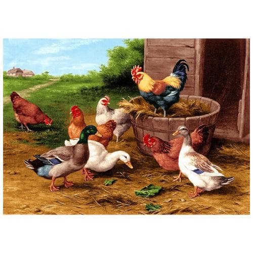 حیوانات مدل مرغ وخروس کد 26017