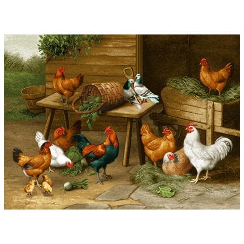 حیوانات مدل مرغ وخروس کد 26004