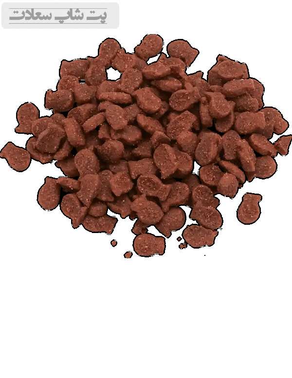 تشویقی گربه وینستون با طعم ماهی سالمون Winston Treats With Salmon وزن 50 گرم — تصویر ۳