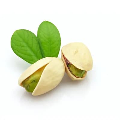 نهال پسته نوق — تصویر ۲