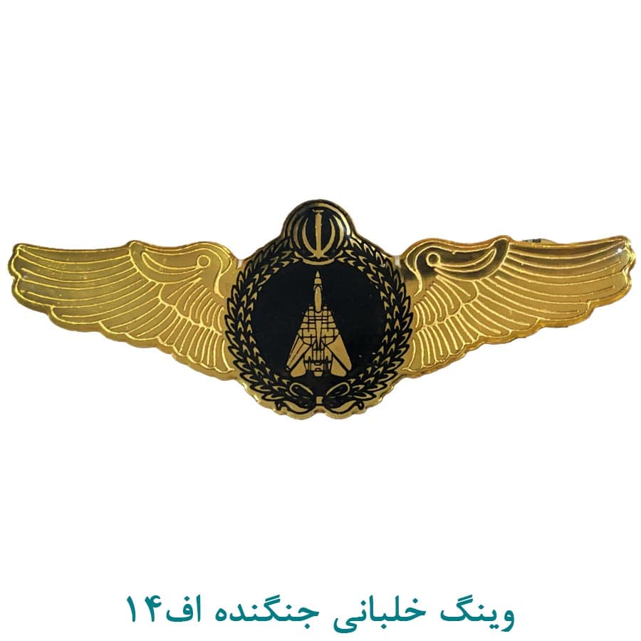 وینگ خلبانی جنگنده F14 — تصویر ۲