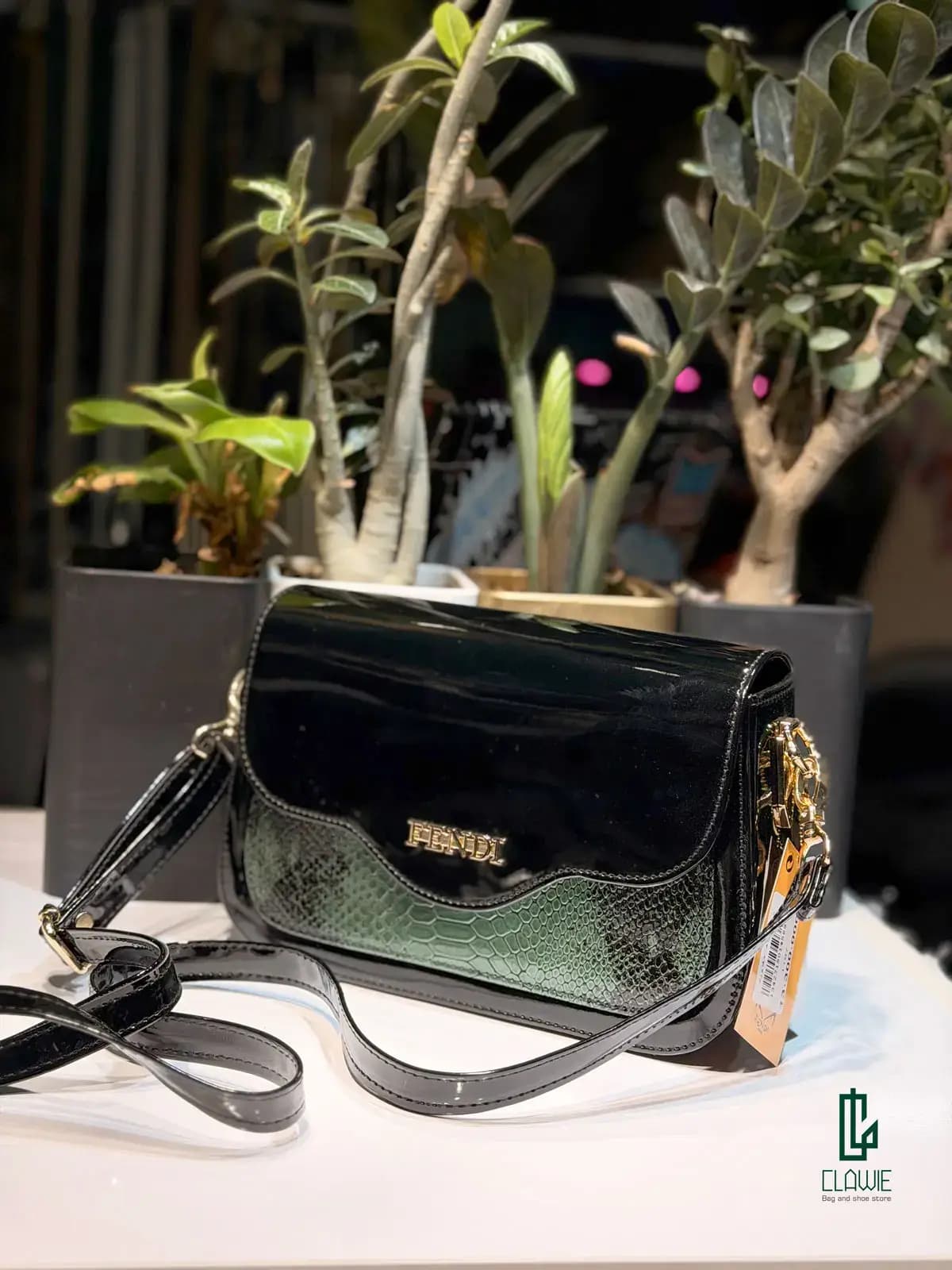 کیف زنانه.دخترانه : ورنی شیک