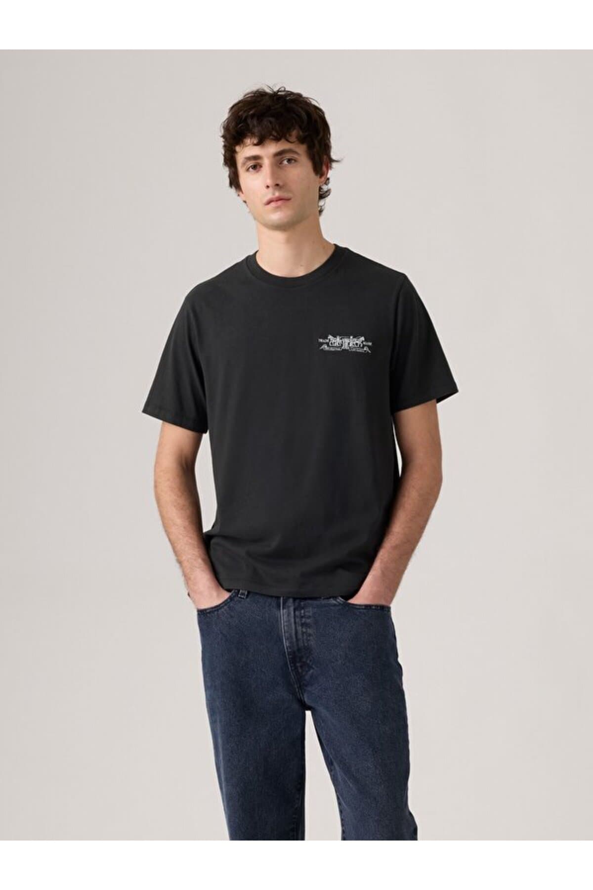 تی شرت لیوایز مردانه پاموک آبی راسته Regular/رگولار بیسیک کژوال/روزمره | Levi’s 2249118000 PK