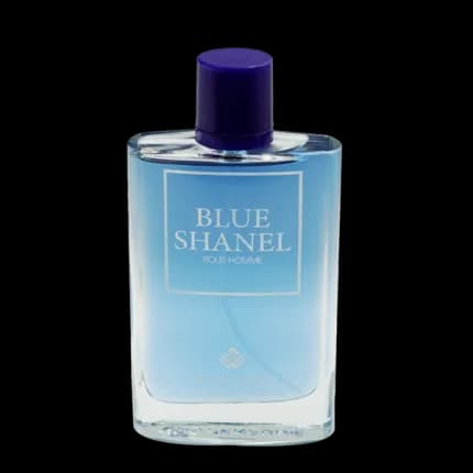 ادو پرفیوم مردانه وودی سنس مدل بلو شنل Blue Shanel حجم 100 میلی لیتر — تصویر ۴