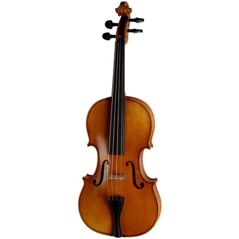ویولن رودریچ Roderich Paesold PA802E