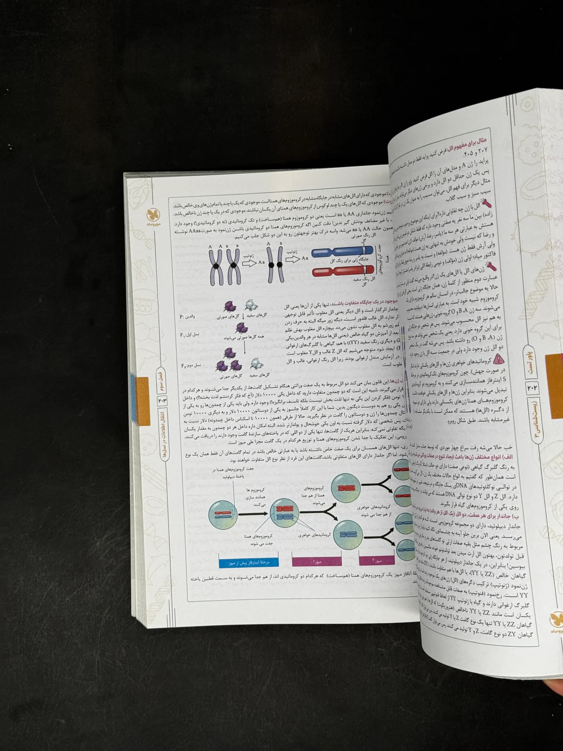 کتاب پاور تست زیست یازدهم مهروماه (دست دوم) — تصویر ۵