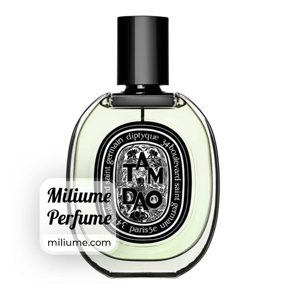 عطر دیپتیک تام دائو | diptyque tam dao | برند Argeville — تصویر ۲