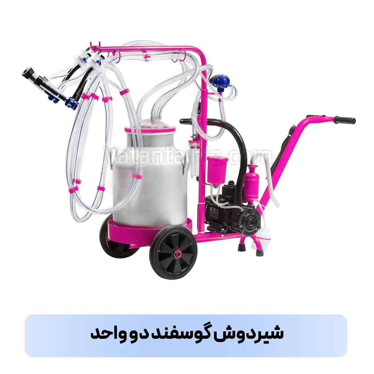 شیردوش دو واحد گوسفندی