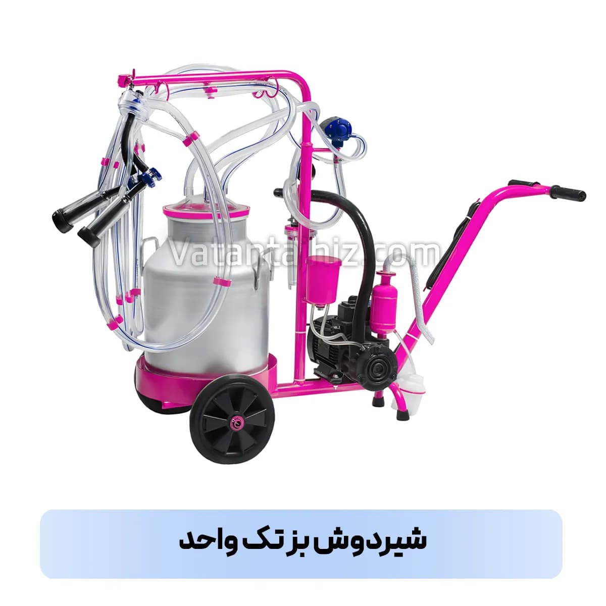 شیردوش یک واحد بز