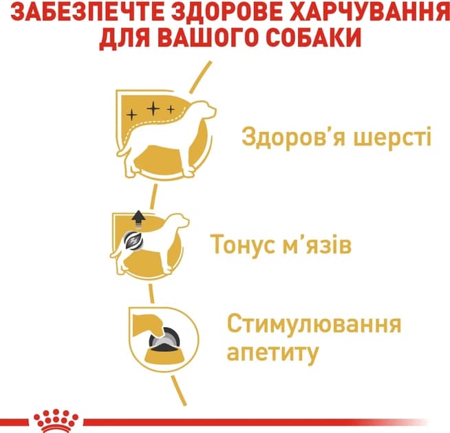 پوچ سگ رویال کنین پودل Royal Canin Poodel وزن 85 گرم — تصویر ۳