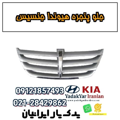 جلو پنجره هیوندا جنسیس