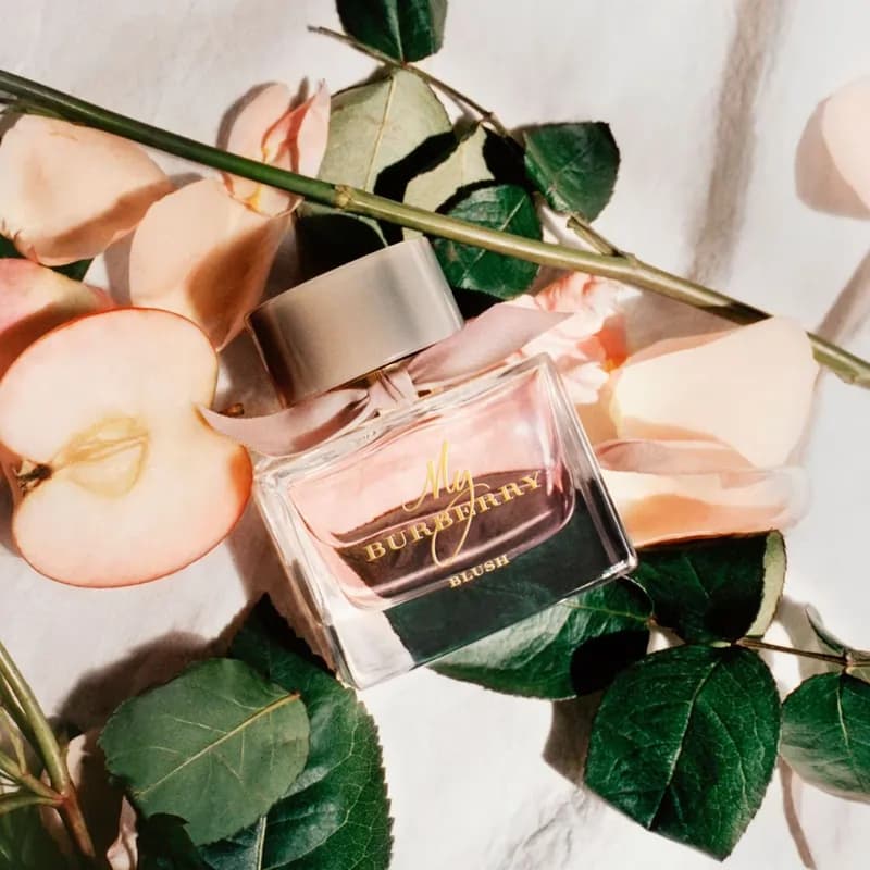 عطر ادکلن باربری مای باربری بلاش زنانه اصل — تصویر ۸