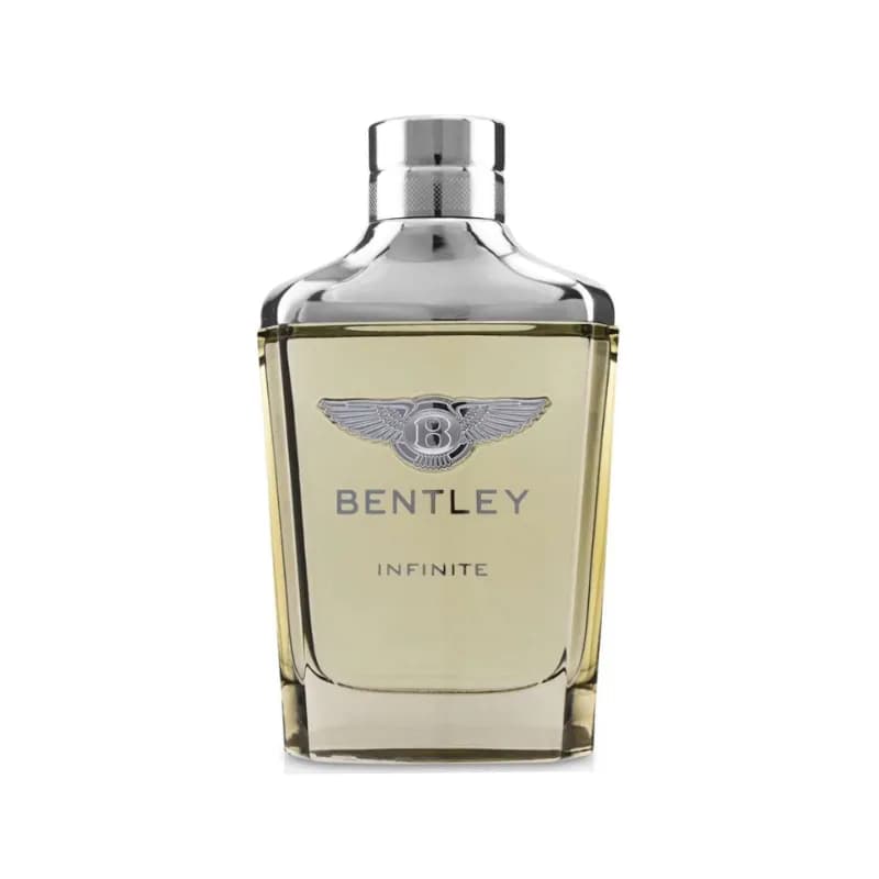 Bentley Infinite بنتلی اینفینیتی — تصویر ۲