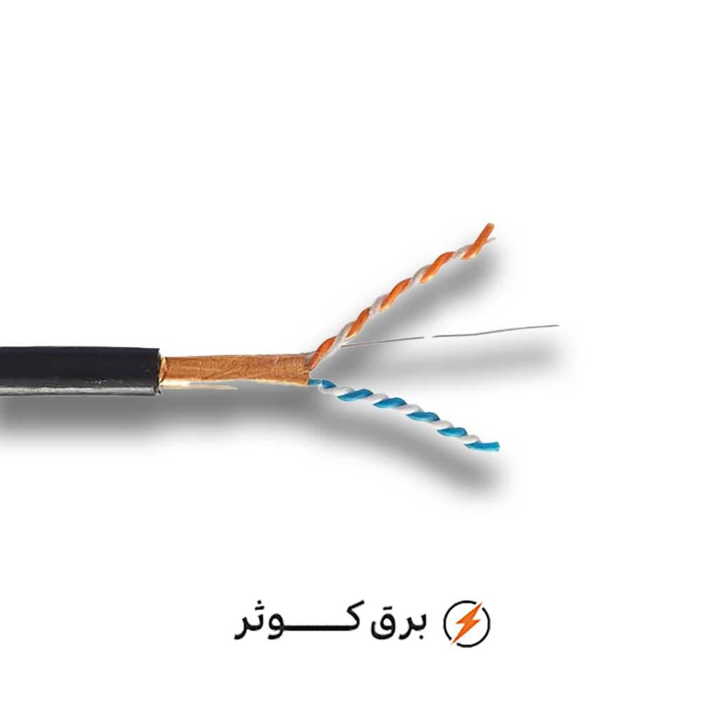 2 زوج 06 فویلدار مس هادی نور (متری)