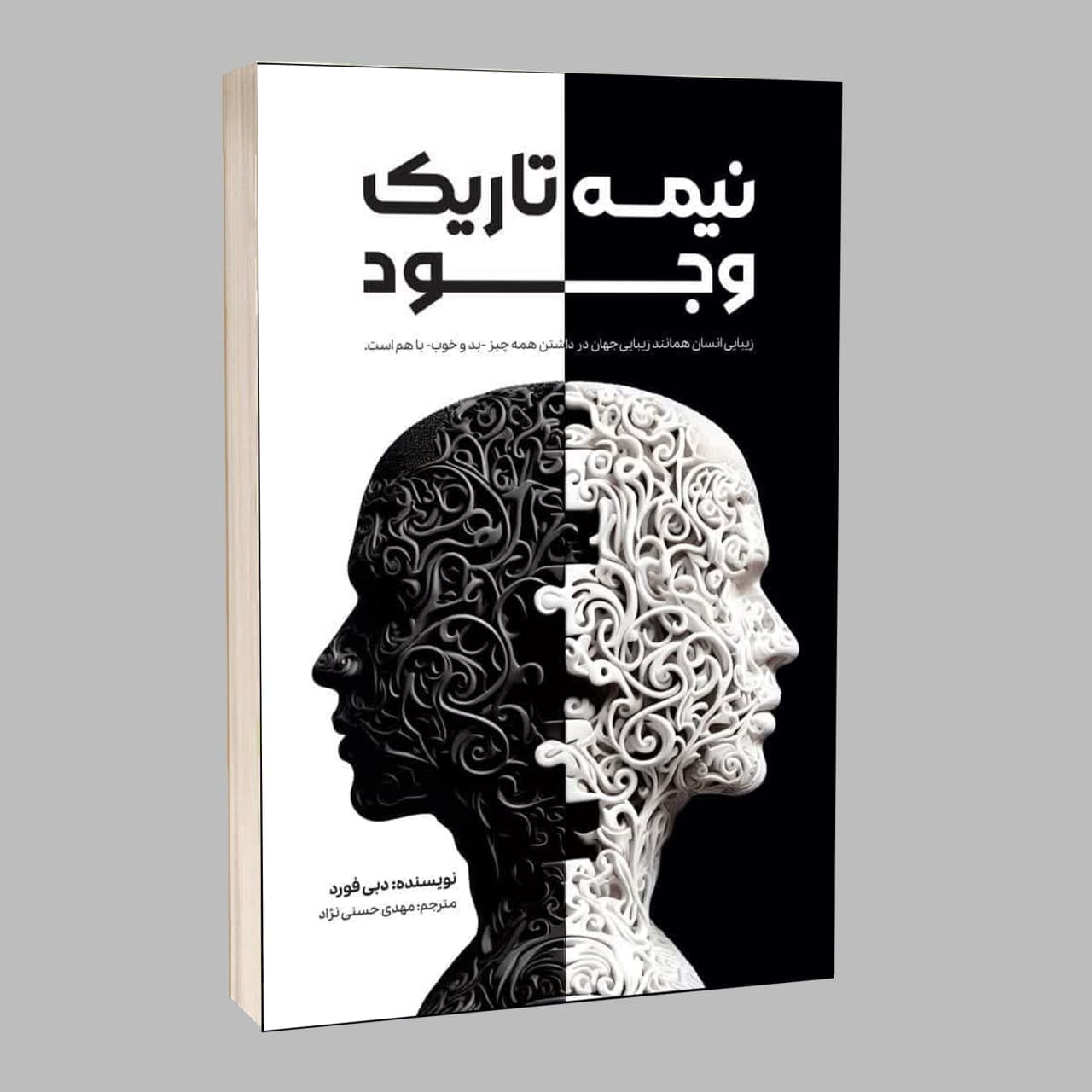 کتاب نیمه تاریک وجود اثر دبی فورد ترجمه مهدی حسنی نژاد انتشارات آراستگان