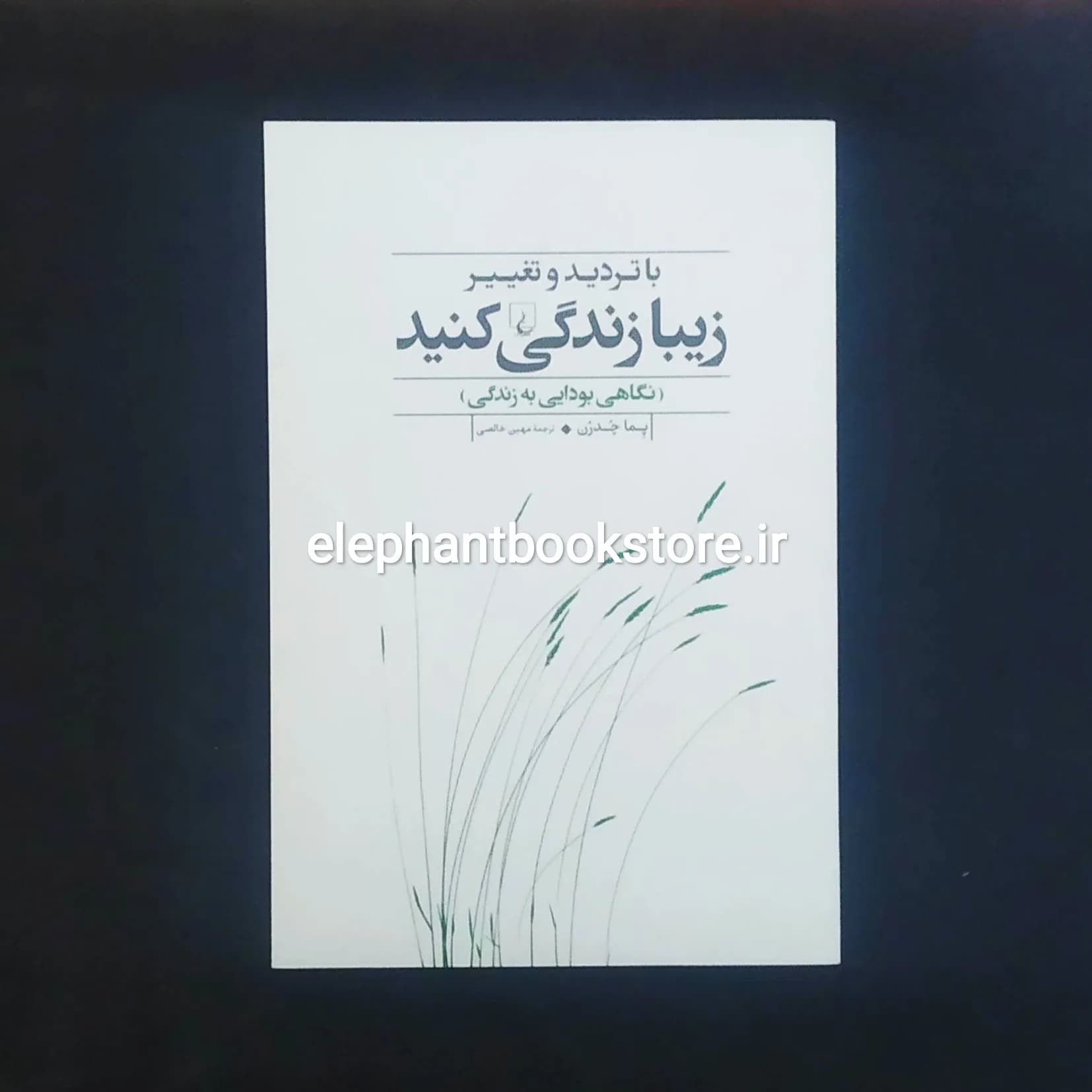 کتاب با تردید و تغییر زیبا زندگی کنید اثر پما چودرون