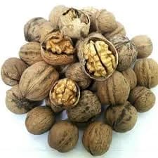 نهال گردو محلی کاغذی