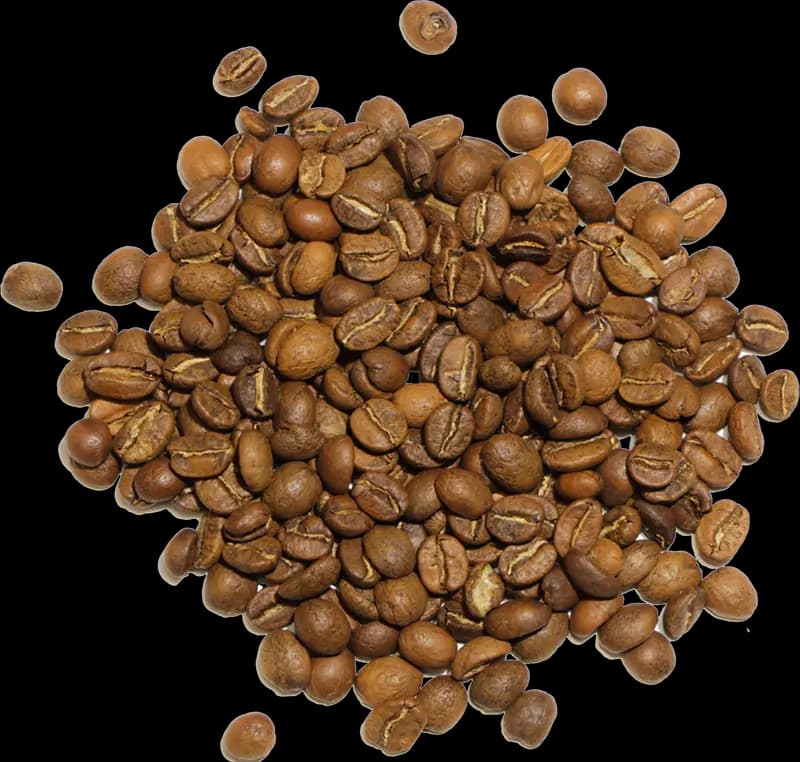 دانه قهوه 100 عربیکا تی گل