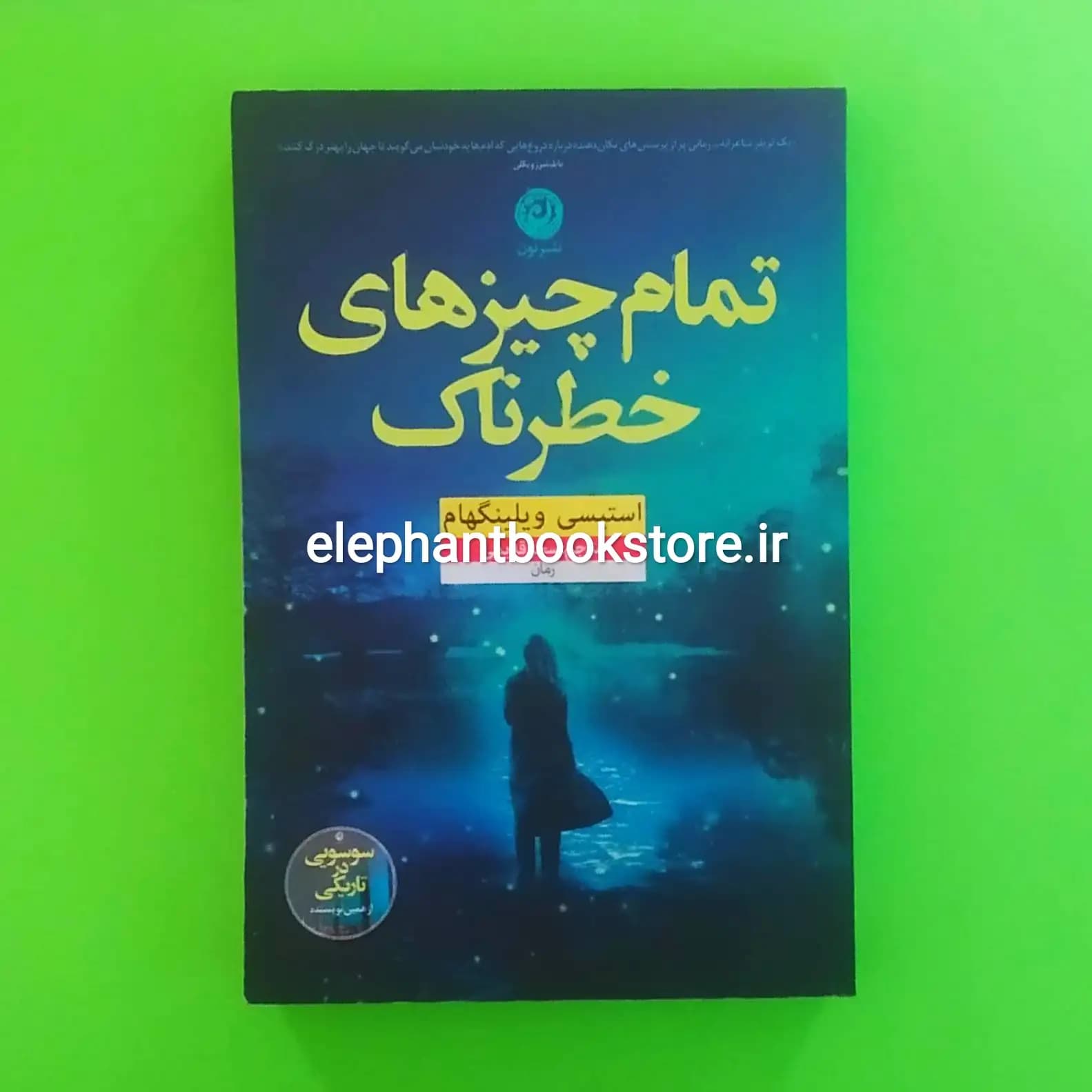 کتاب تمام چیزهای خطرناک اثر استیسی ویلینگام