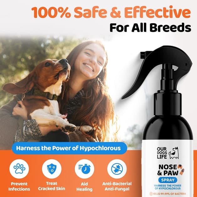 اسپری تمیزکننده، ترمیم کننده پنجه و بینی سگ برند OUR DOGS LIFE | از بین برنده باکتری و میکروب — تصویر ۵
