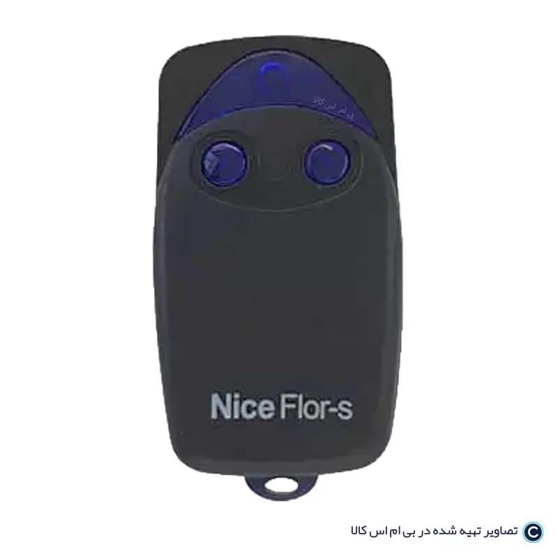 ریموت جک پارکینگی نایس Nice ایتالیا