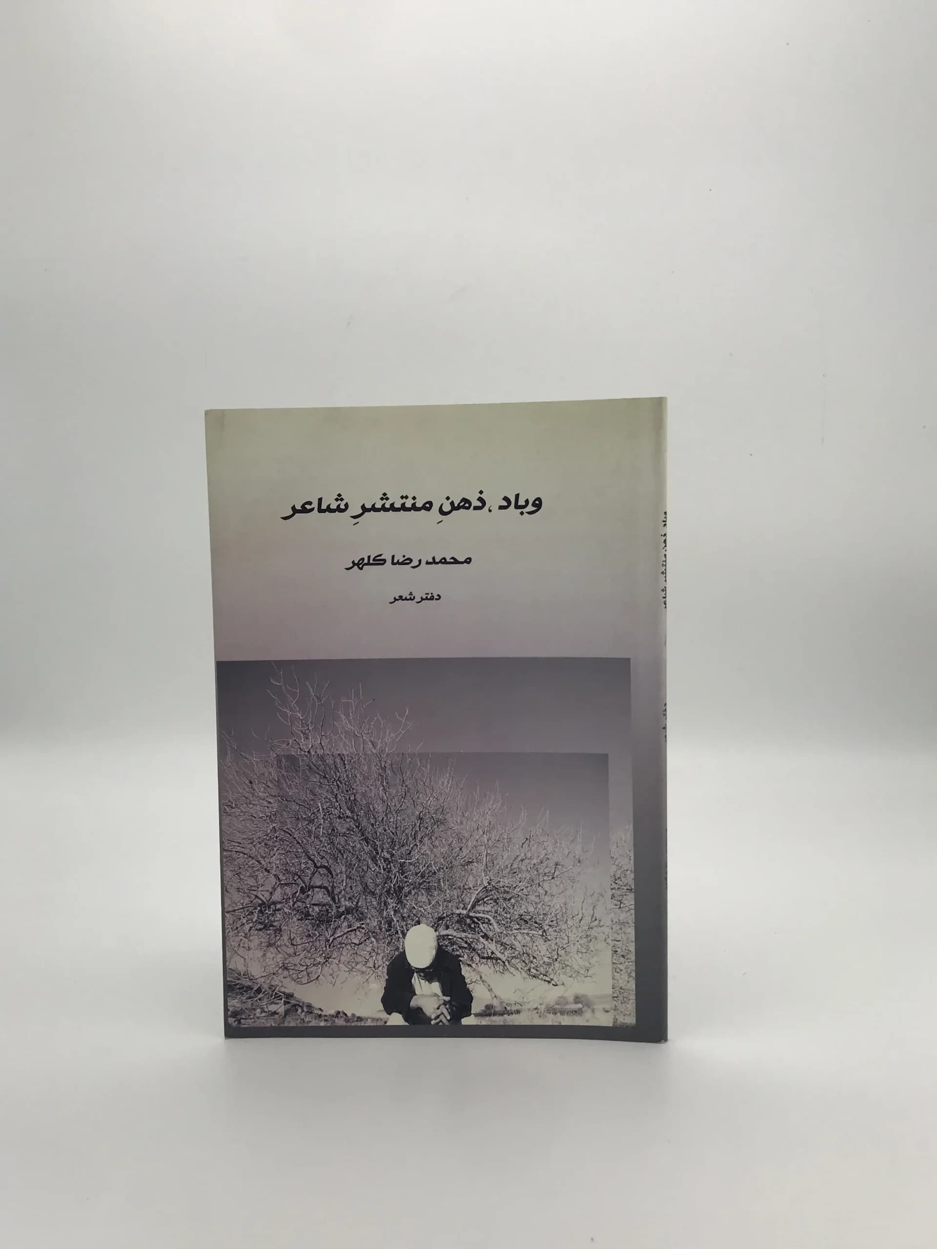 و باد ذهن منتشر شاعر نوشته محمد رضا کلهر