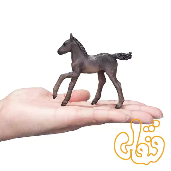 فیگور کره اسب عربی سیاه موجو Arabian Foal Black 381015 — تصویر ۶