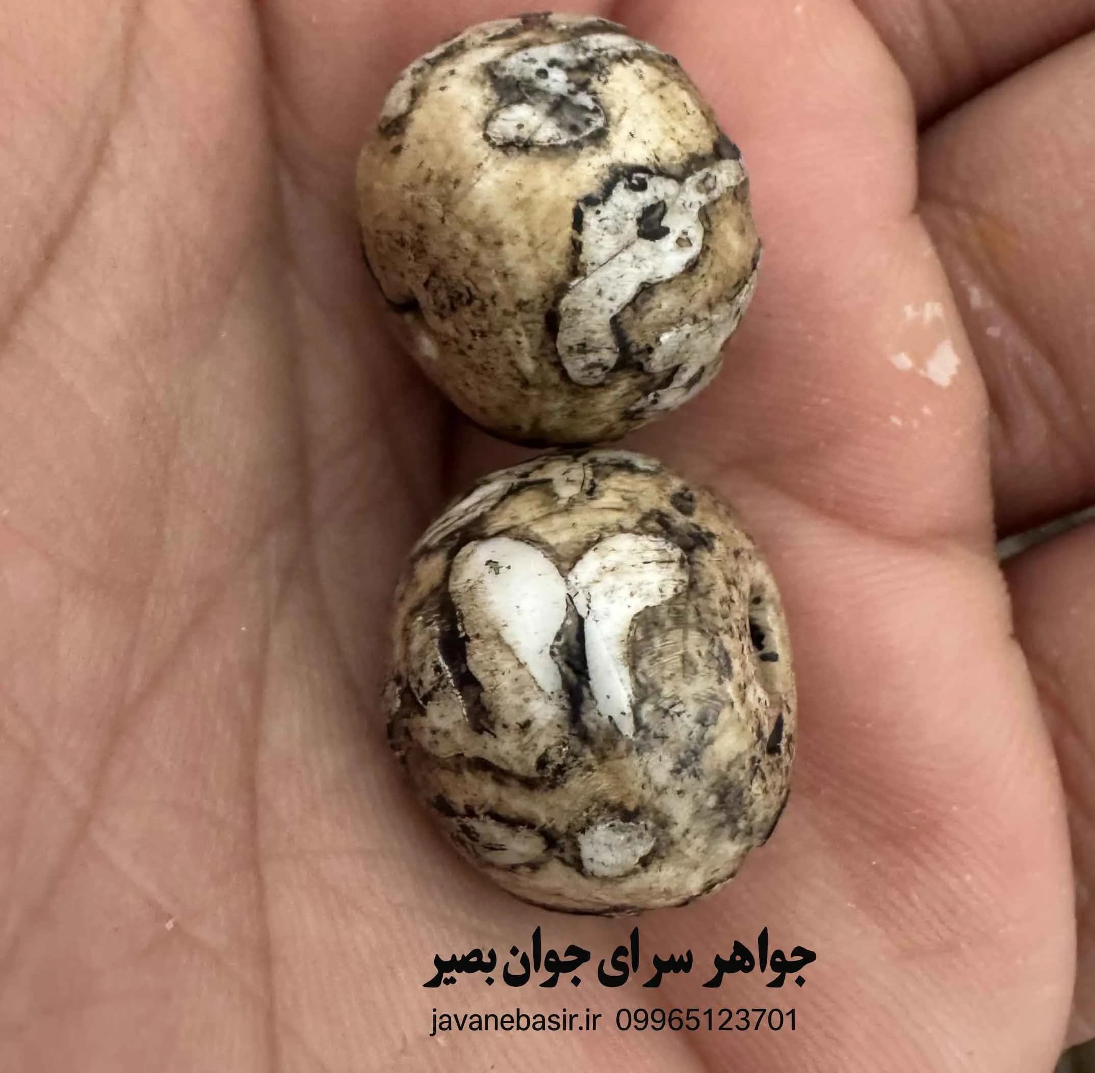 مهره جفتی عطف حجازی اصل | سنگ محبت و آرامش برای دو نفر