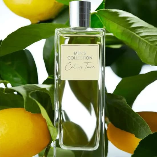ادوتویلت مردانه سیتروس تونیک Men’s Collection اوریفلیم — تصویر ۶