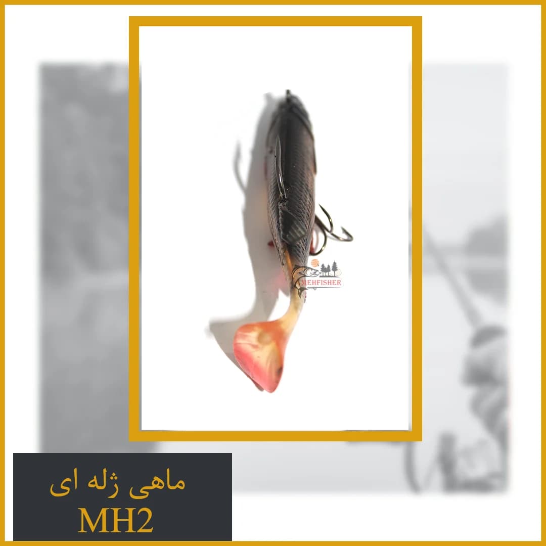 ماهی ژله ای کد MH2 — تصویر ۴