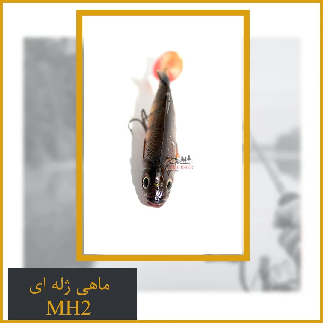 ماهی ژله ای کد MH2 — تصویر ۳