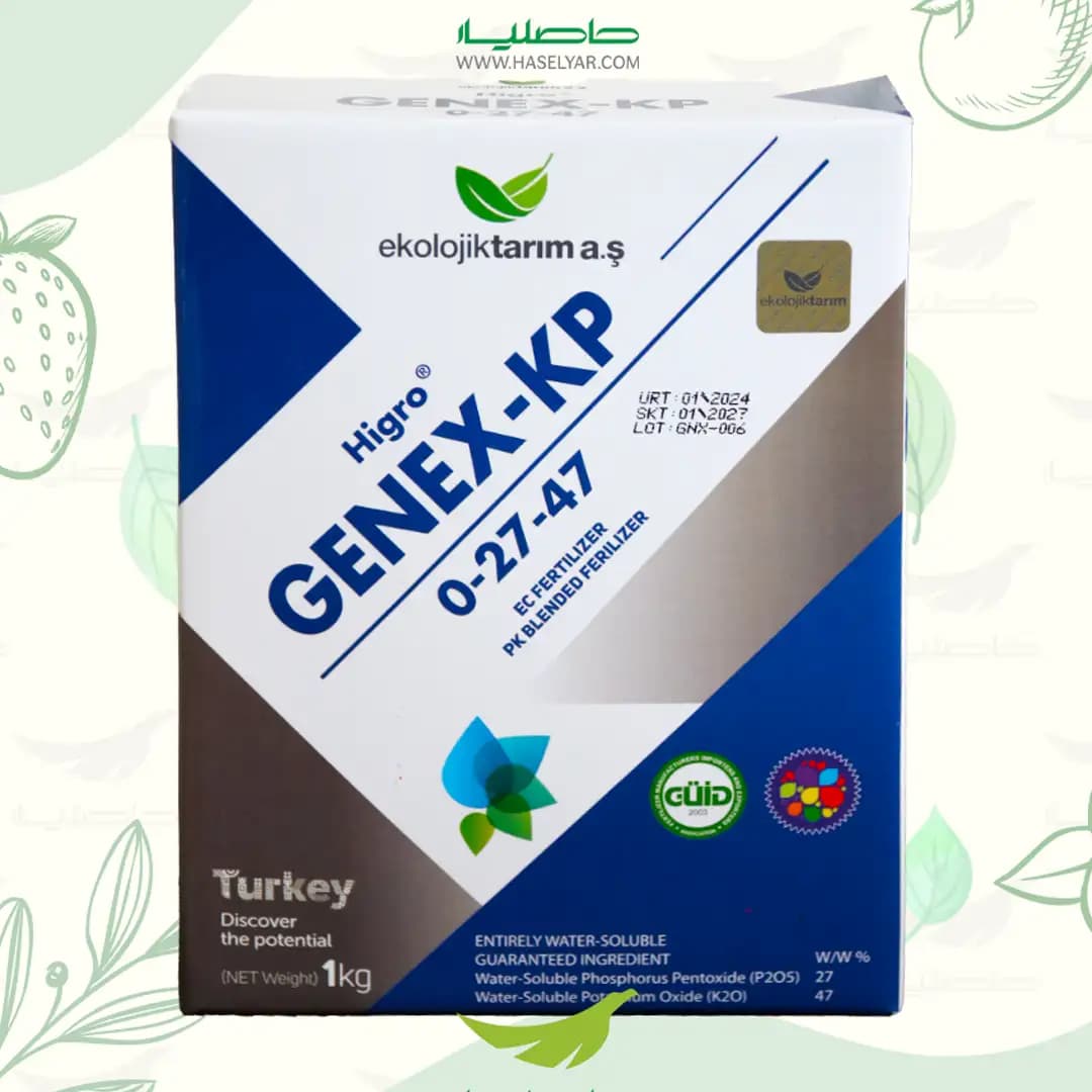 هیگرو جنکس 1 کیلویی اکولوژیک تاریم