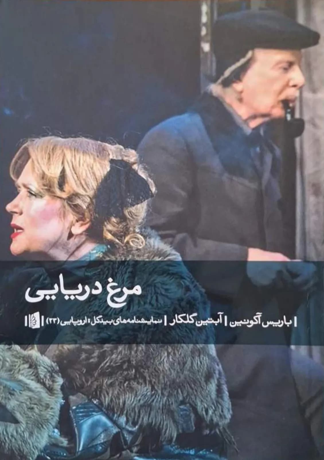 مرغ دریایی | باریس آکونین