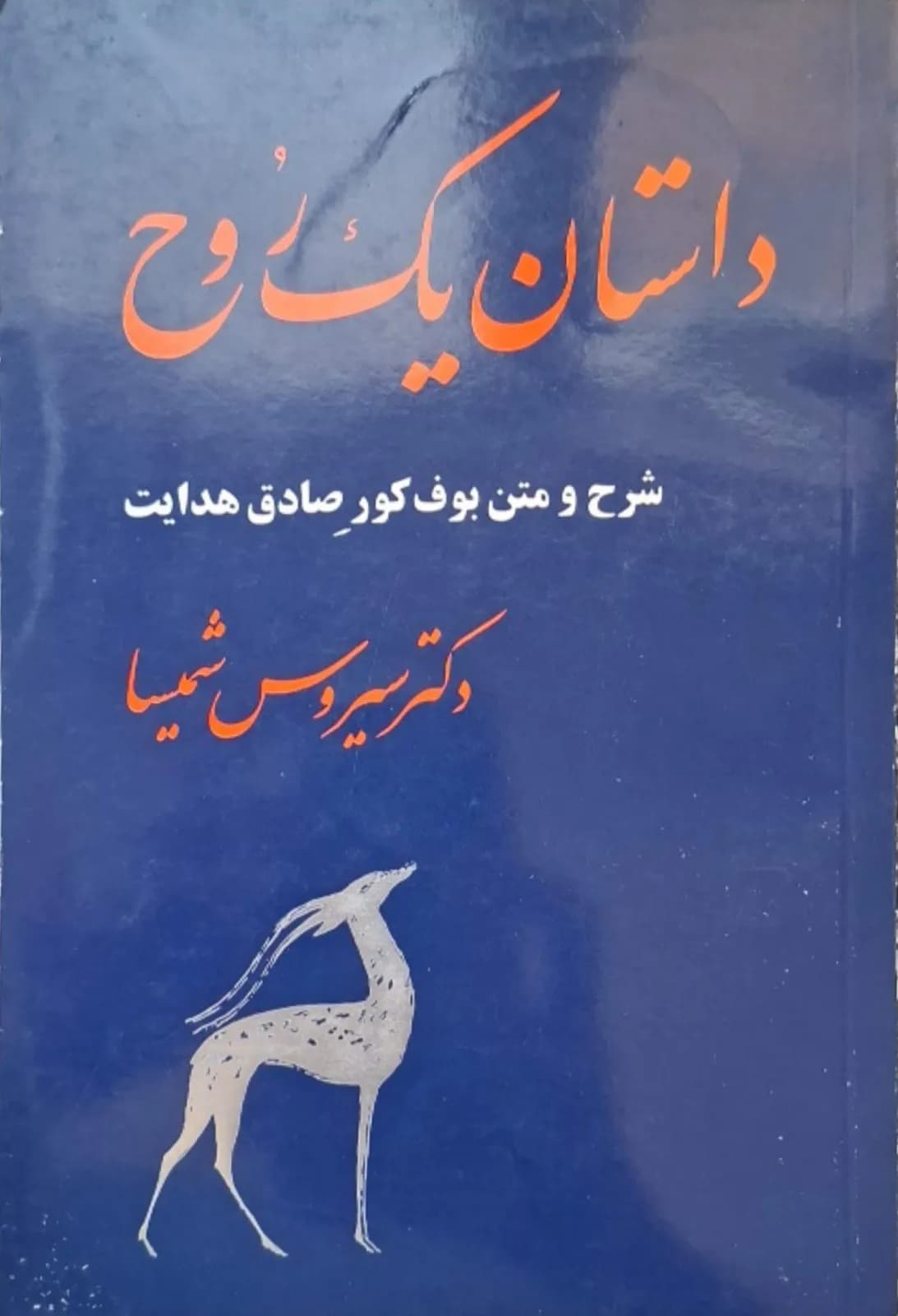 داستان یک روح | سیروس شمیسا