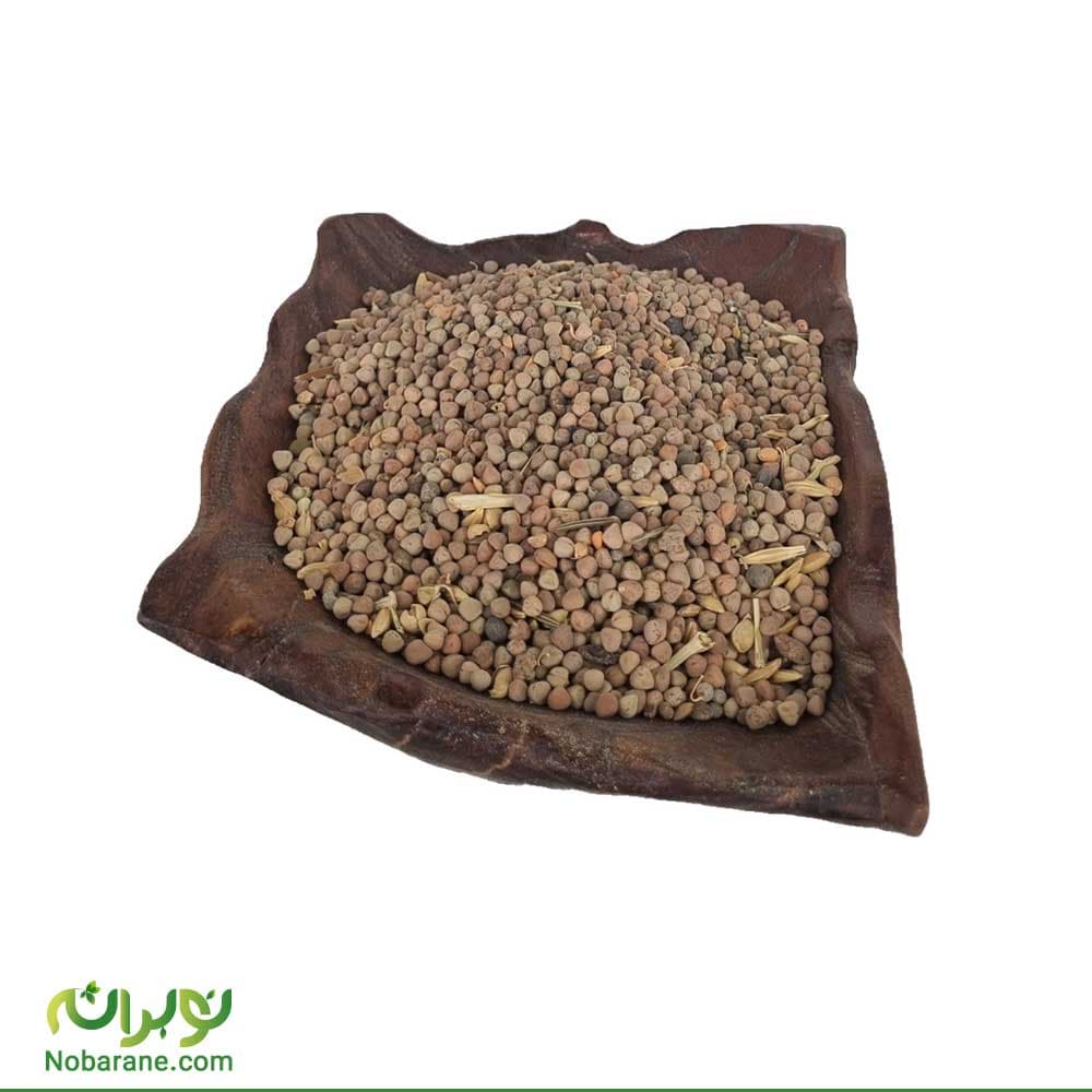 بذر گاو دانه