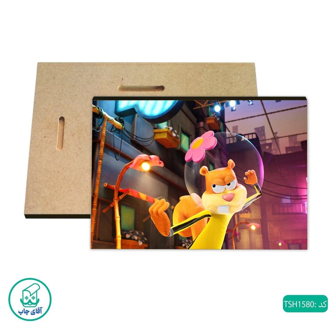 شاسی طرح سندی کد TSH1580