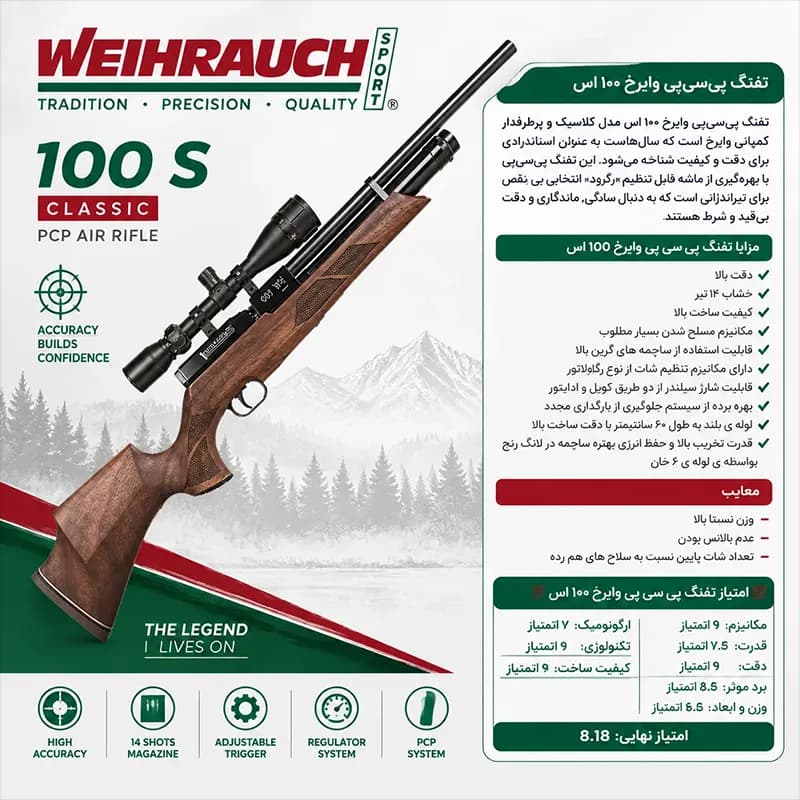 تفنگ پی سی پی وایرخ 100 اس — تصویر ۳