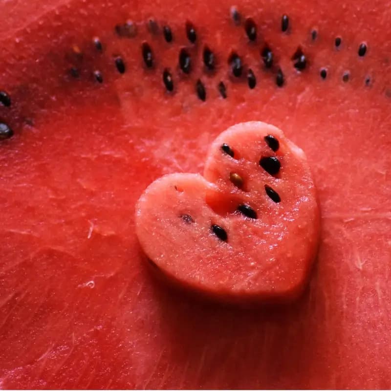 شامپو طبیعی یانسی با رایحه هندوانه مدل Watermelon – با pH خنثی – مناسب انواع مو و استفاده روزانه | حجم 1000 میلیلیتر — تصویر ۳