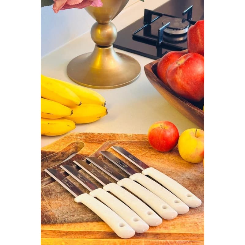 شش عدد چاقوی دندانه دار اصل سولینگن برای میوه و سبزیجات | تیغه فولادی ضدزنگ | دسته پلاستیکی با کیفیت | مجموعه 6 عددی | مناسب برش انواع میوه و سبزی | طراحی ارگونومیک — تصویر ۶