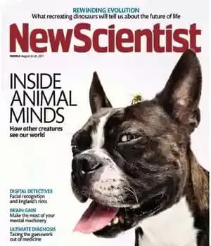 دانلود کتاب New Scientist 2011-08-20 – نیوساینتیست 2011-08-20 — تصویر ۲