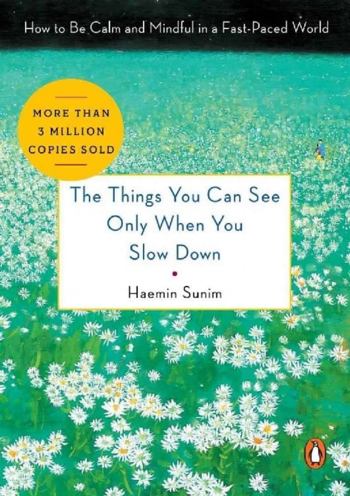 کتاب The Things You Can See Only When You Slow Down (چیزهایی که فقط وقتی آهسته میشوی میبینی) نسخه انگلیسی PDF | هائمین سونیم — تصویر ۲