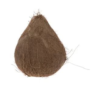 نارگیل Fresh یک عددی متوسط - هیرکانی شاپ — تصویر ۲