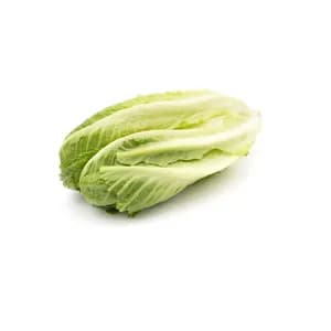 کاهو رسمی Fresh مقدار 500گرمی - هیرکانی شاپ