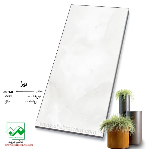 سرامیک نوژا 60*30 کاشی مریم