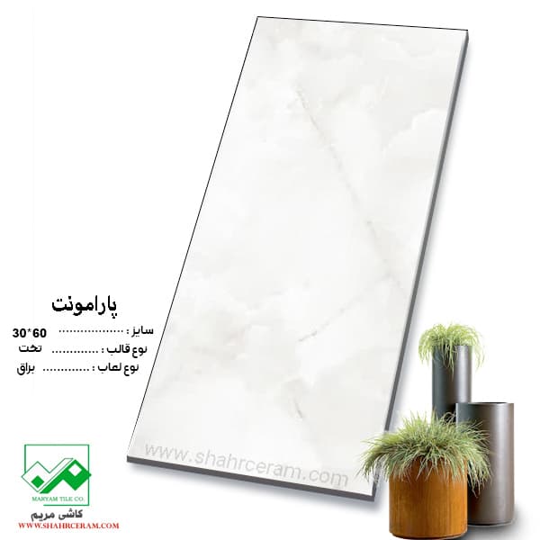 سرامیک پارامونت 60*30 کاشی مریم
