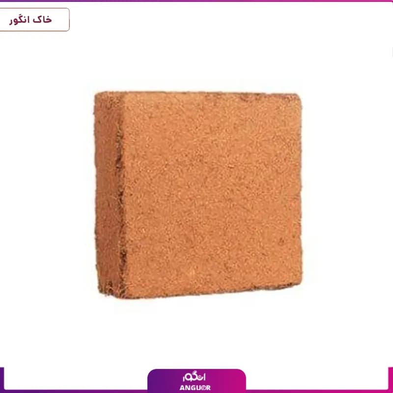 کوکوپیت سریلانکا قالب 5 کیلویی