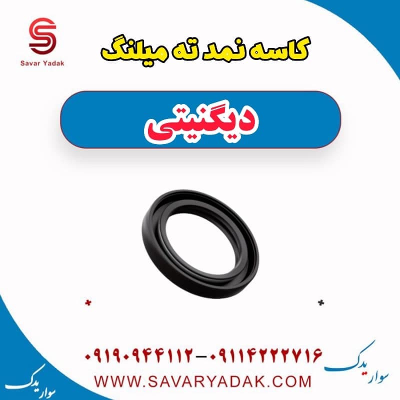 کاسه نمد ته میلنگ دیگنیتی